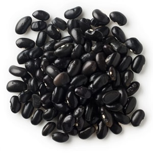 black image hawaii mexican food restaurant oahu north shore black beans