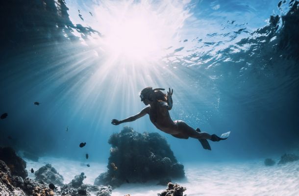 sharks-cove image Discover Shark’s Cove: Snorkeling in Hawaii
