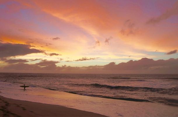 mexican tacos honolulu north shore hawaii