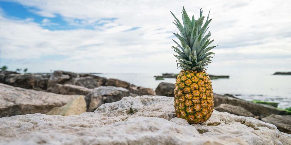 hawaii pineapple tiki drink